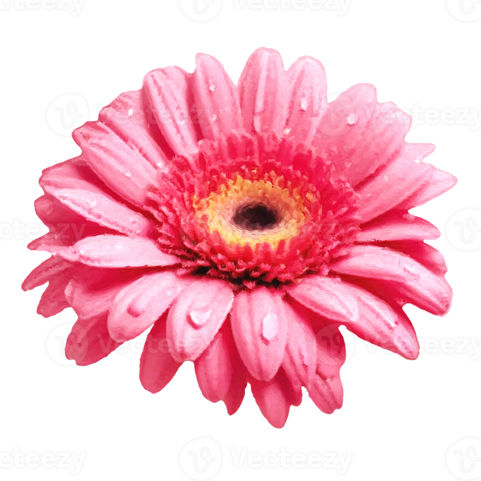 Flower collection illustration elements,generated ai. png