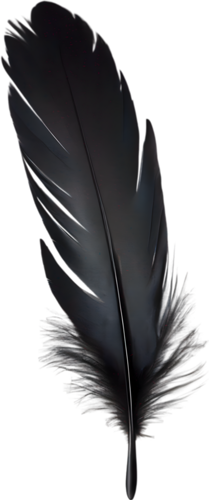 Close-up of black crow-inspired feathers. AI-Generated. png