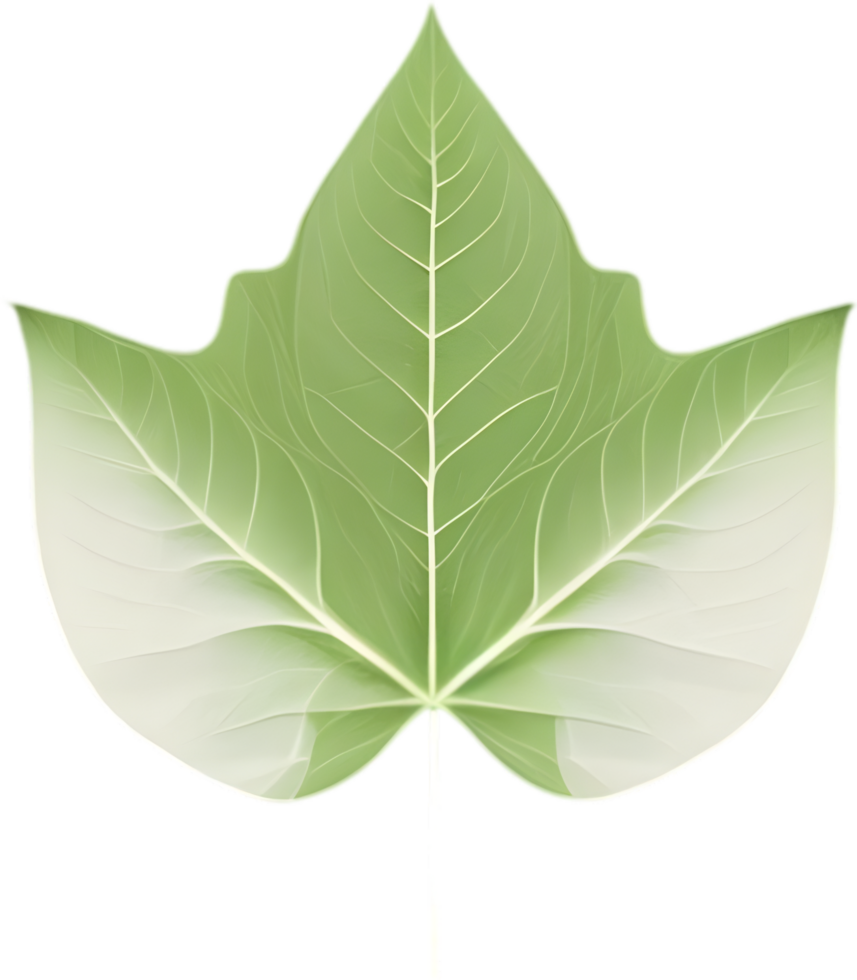 An image of a stylized leaf. AI-Generated. png