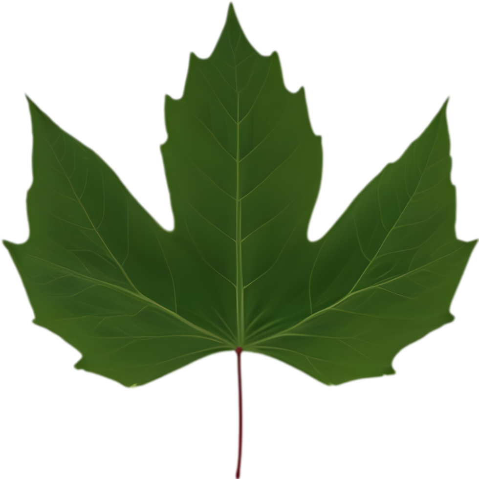 An image of a stylized leaf. AI-Generated. png