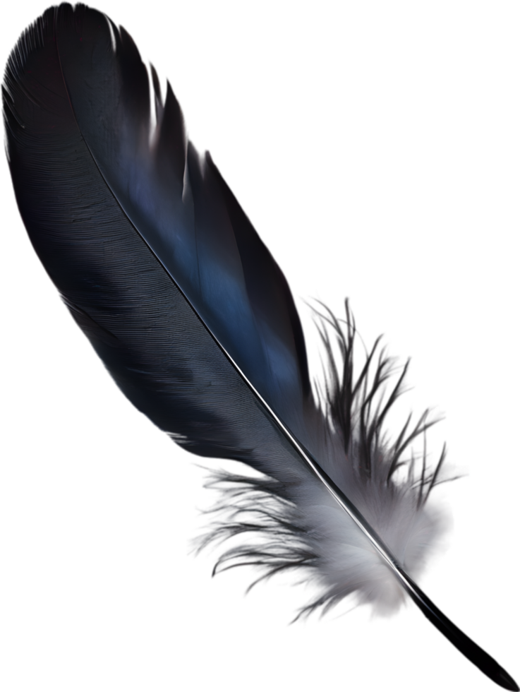 Close-up of black crow-inspired feathers. AI-Generated. png