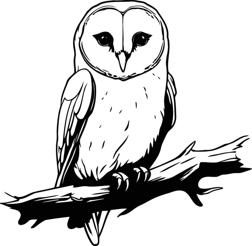 Illustration of a Barn Owl sitting on a branch. vector