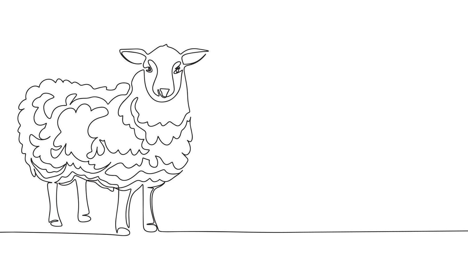 One line continuous sheep. Concept minimal farm banner. Line art, silhouette, outline, vector illustration.
