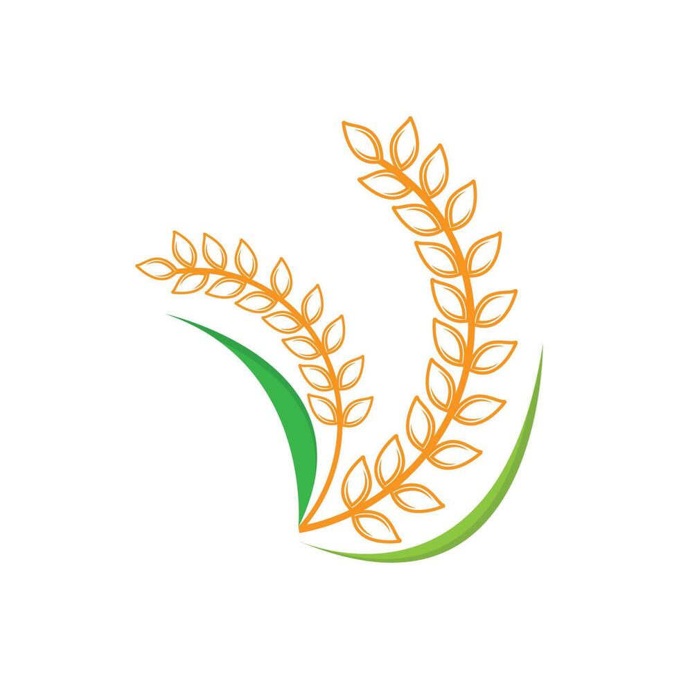 Rice Logo, Farm Wheat Logo Design, Vector Wheat Rice Icon Template Retro Vintage Illustration