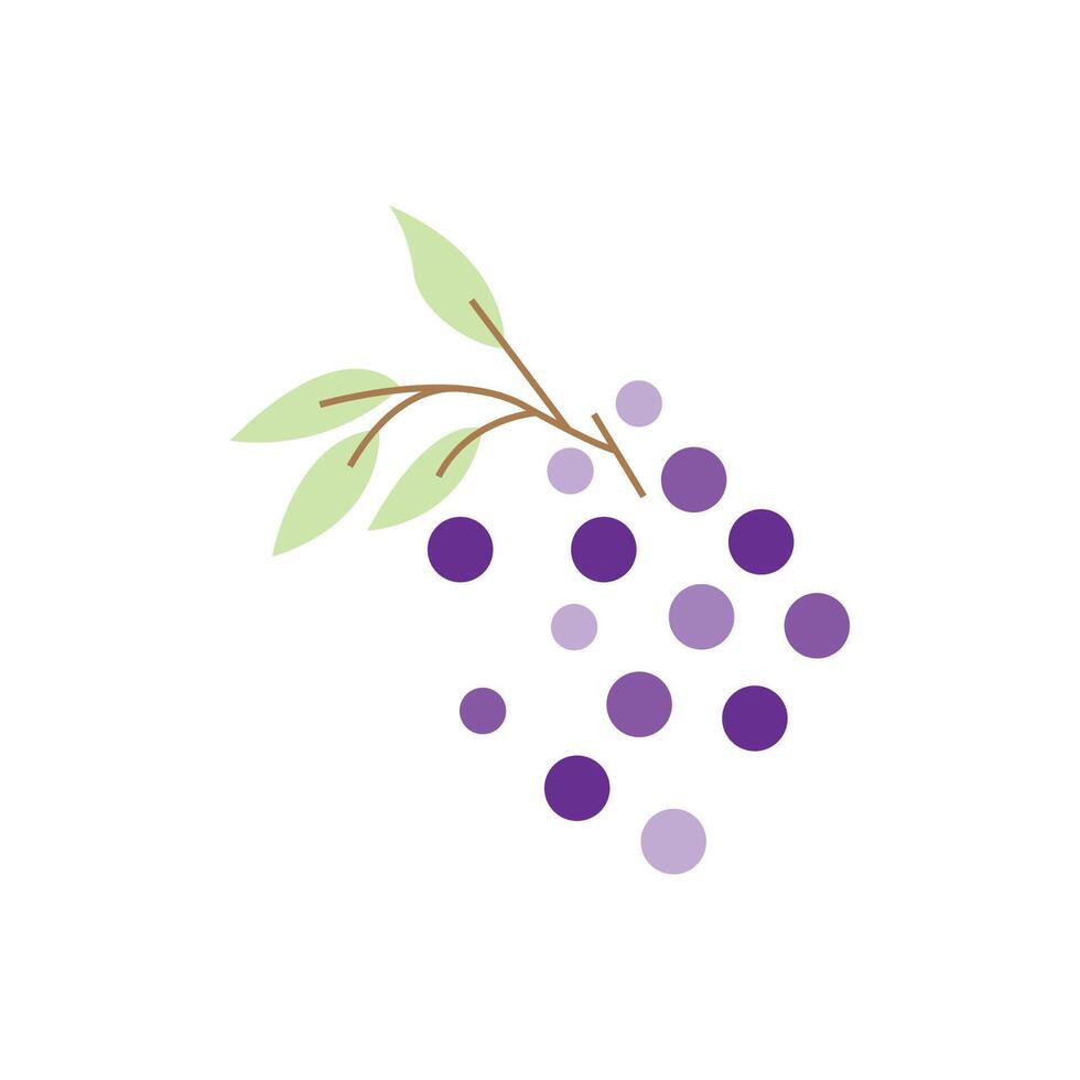 Grape Logo, Garden Vector, Fresh Purple Fruit, Wine Brand Design, Simple Illustration Template vector
