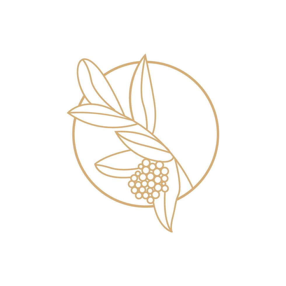 Coffee Logo, Coffee Tree Design, Cafe Drink Vector, Icon Brand Illustration Symbol vector