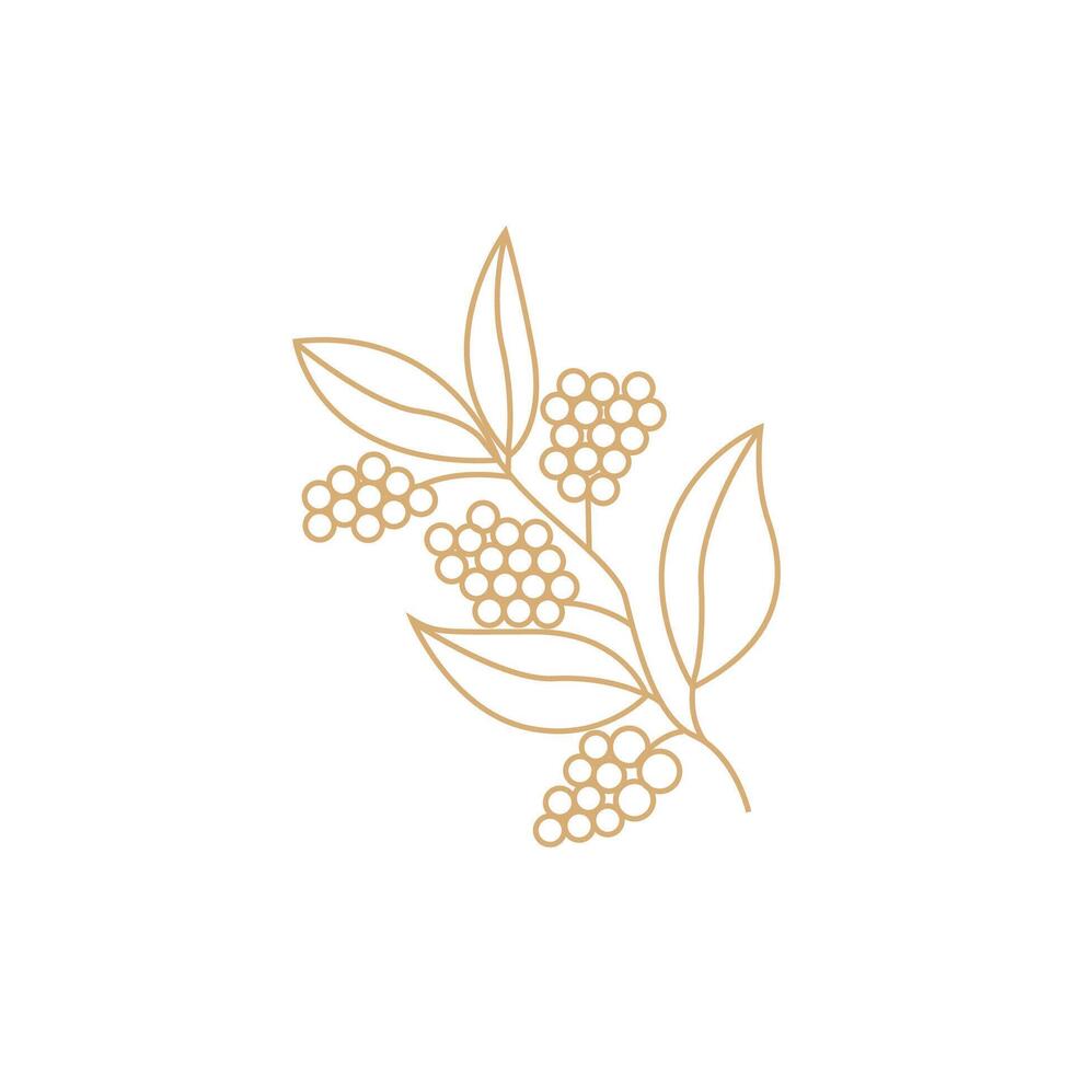 Coffee Logo, Coffee Tree Design, Cafe Drink Vector, Icon Brand Illustration Symbol vector