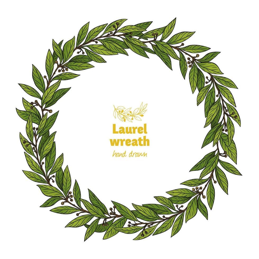 Green Laurel Bay leaves Wreath vector