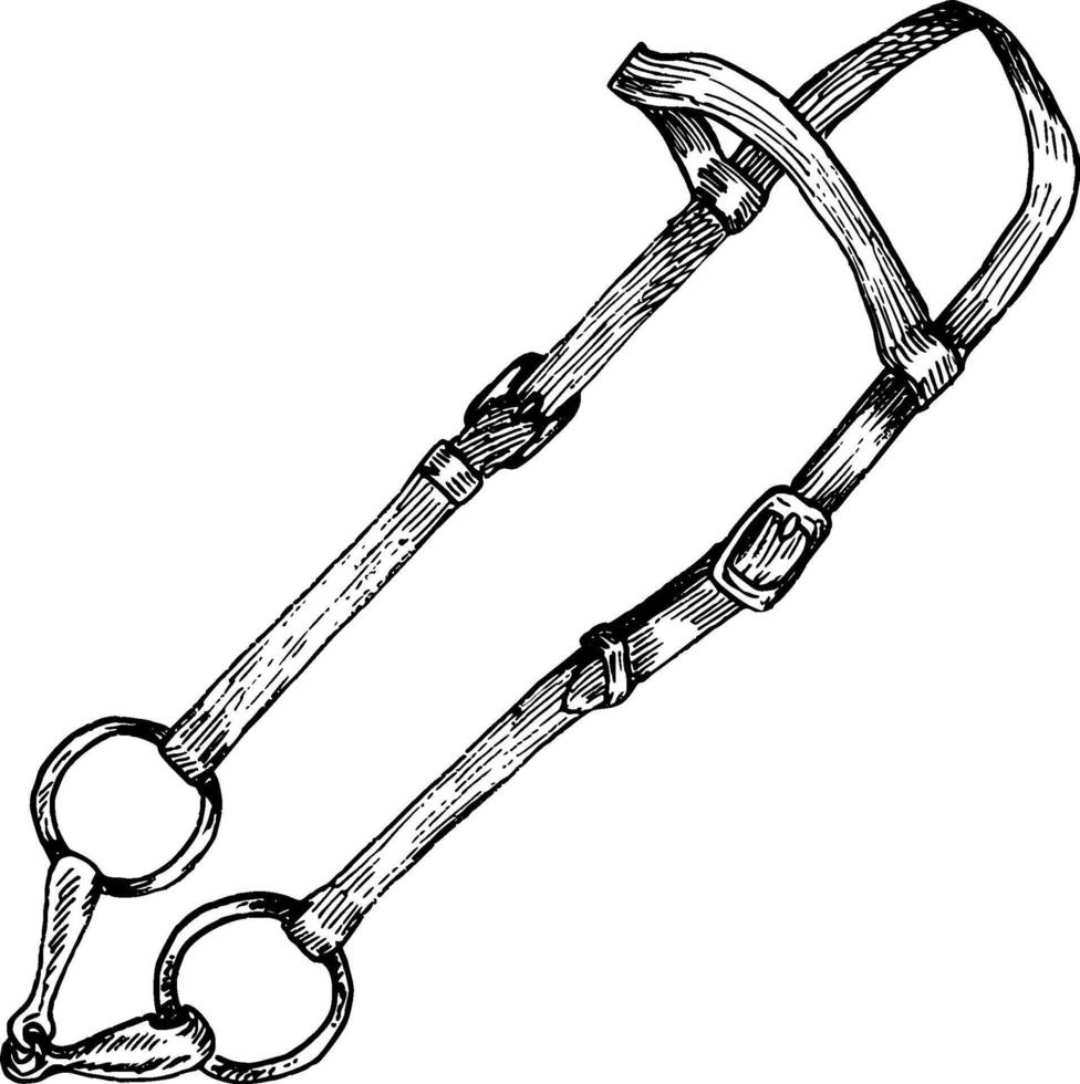 Graphic illustration of brown bridle, golden snaffle or bit. Equipment for horse riding. Isolated. For cards, prints, decor vector