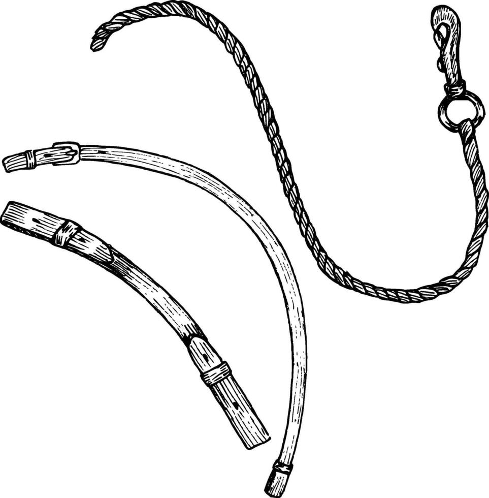 Graphic illustration of cord or rope with a carabiner, leather belts. Equipment for horse riding. Isolated. For cards, prints, decor vector