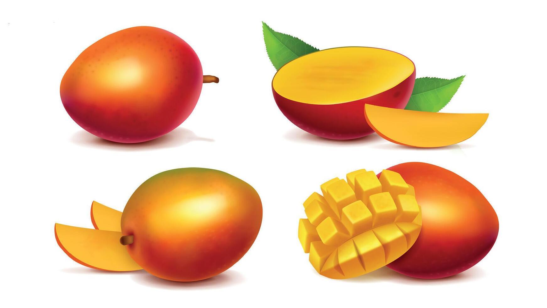 Mango whole and sliced realistic illustration. Bright juicy ripe tropical fruit isolated on white background. Mock up for packaging and advertising vector