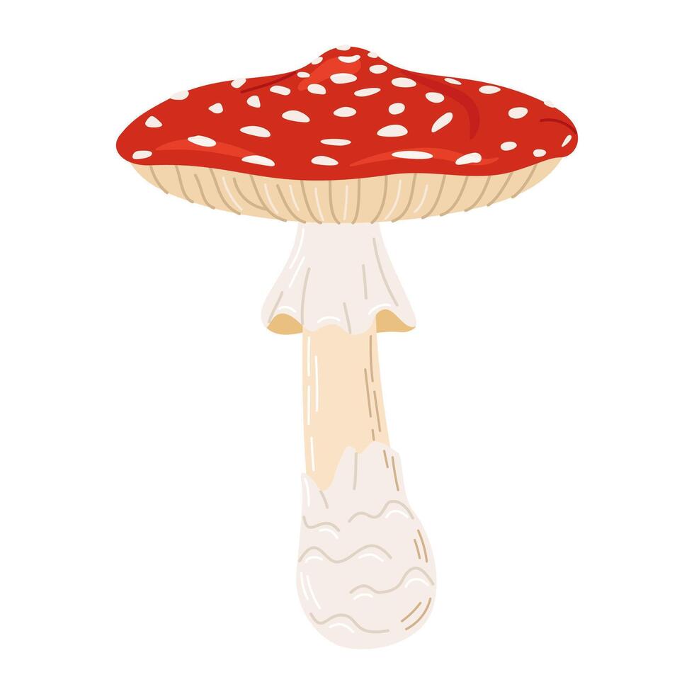 Fly agaric red poison mushroom. Hand drawn Amanita muscaria. Hallucinogenic, psychedelic forest mushroom. Trendy flat style magic fungus isolated on white illustration vector