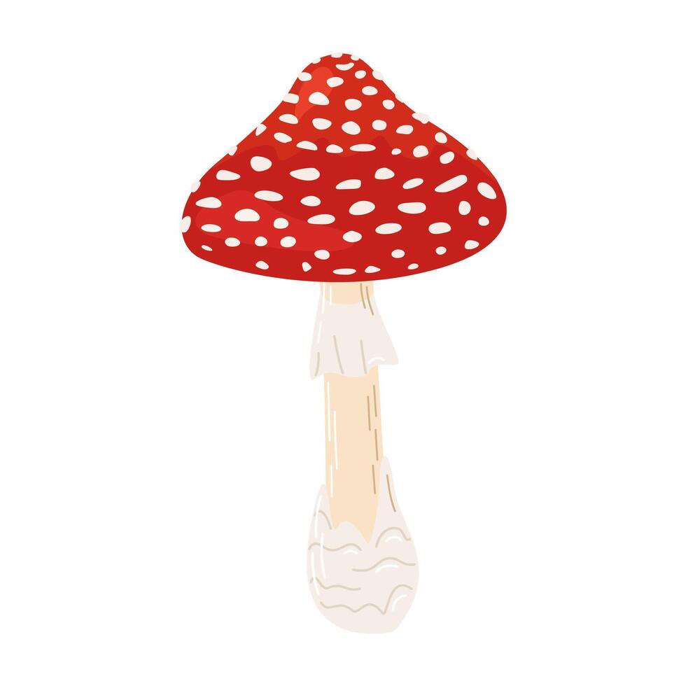 Fly agaric red poison mushroom. Hand drawn Amanita muscaria. Hallucinogenic, psychedelic forest mushroom. Trendy flat style magic fungus isolated on white illustration vector