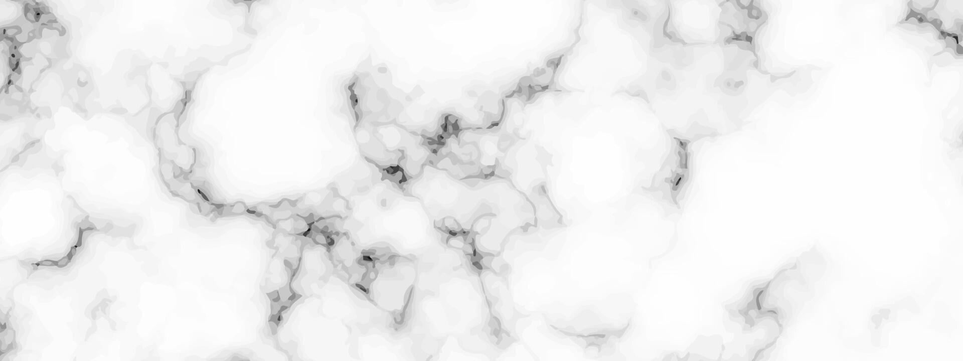 White marble texture background vector