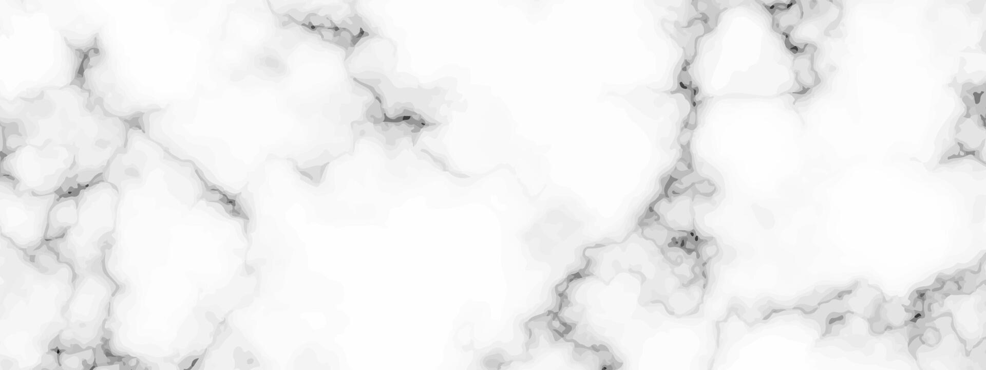 White marble texture background vector
