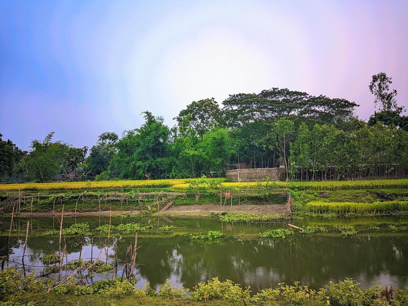 a river with a small pond and trees in the background photo