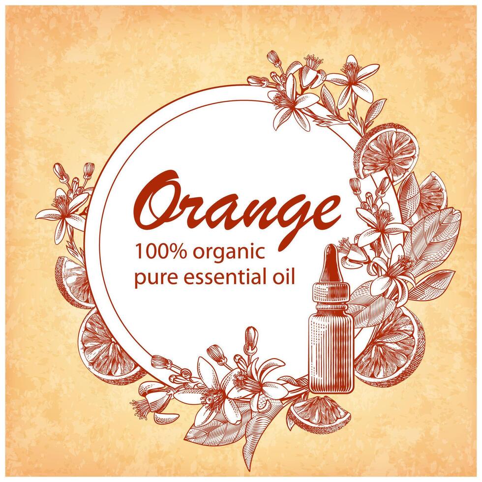 Engraved essential oil with orange fruits, leaves and blooming flowers. Hand drawn of glass dropper bottle with citrus aurantium. Label for cosmetics, medicine,treatment, aromatherapy, package design. vector