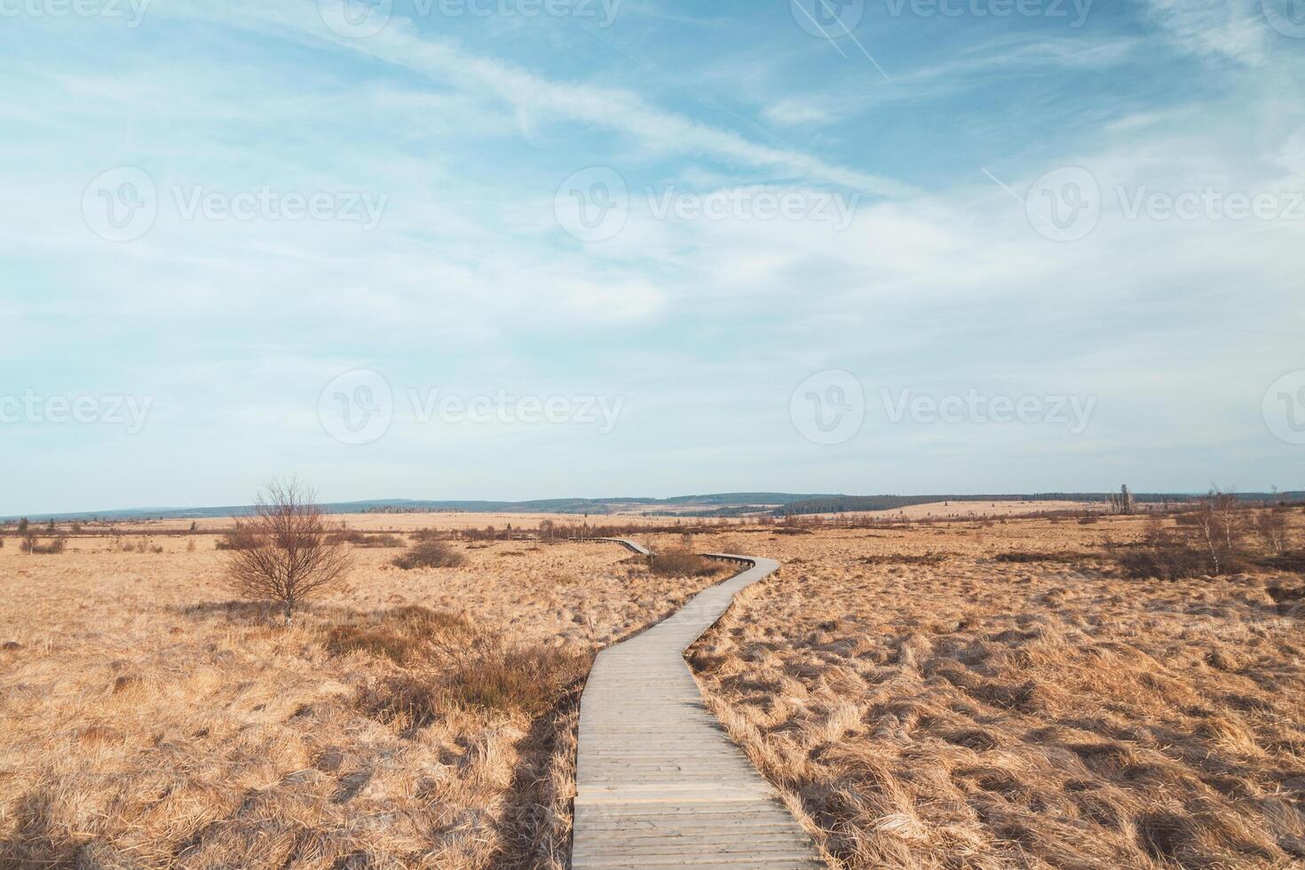 Wild wasteland in the west of Belgium called Les Wez in the High Fens, Wallonia. A vast reservoir of water in vast wetlands. Climate change and storage photo