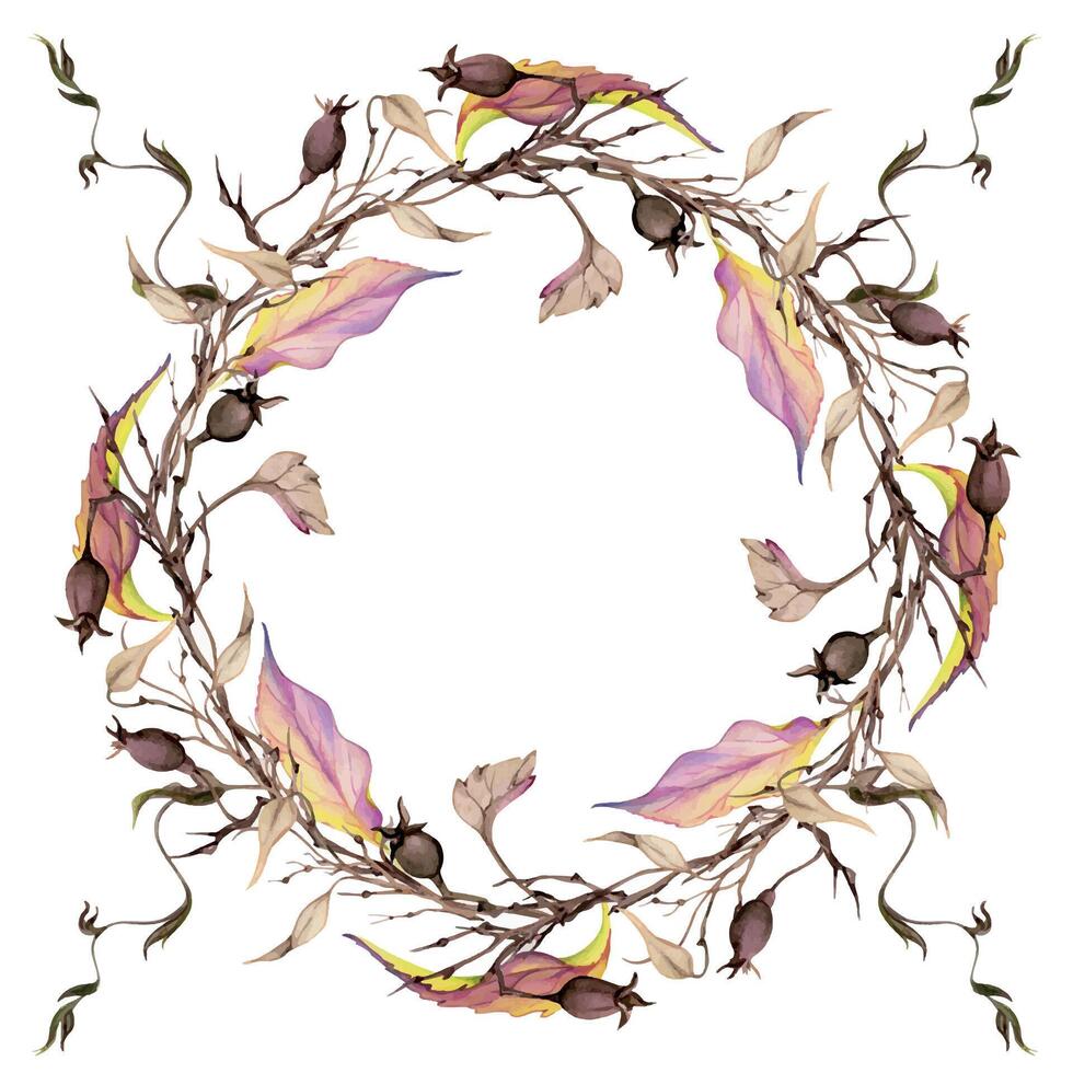 Hand drawn watercolor illustration shabby boho botanical flowers autumn leaves tendrils vine rose hip branches twigs. Wreath frame isolated on white background. Design wedding, floral shop, gift cards vector