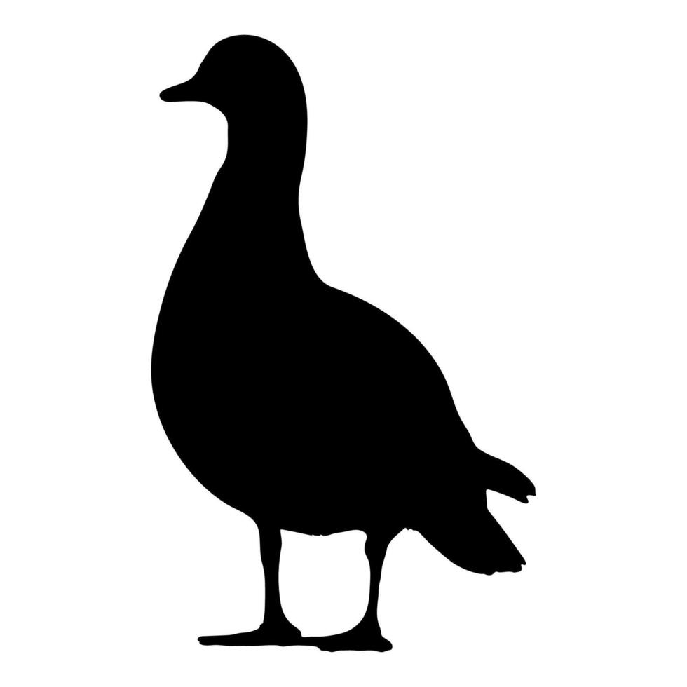 Duck standing silhouette on white background vector