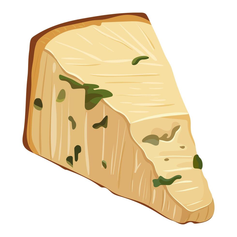 A piece of cheese with mold. Illustration on a white background. vector