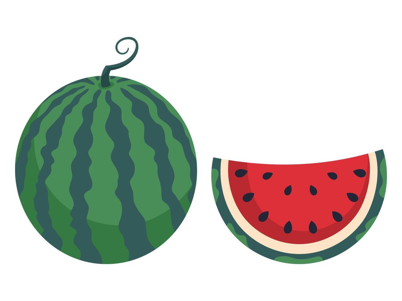 Ripe juicy watermelon isolated on a white background. Hand drawn illustration. vector