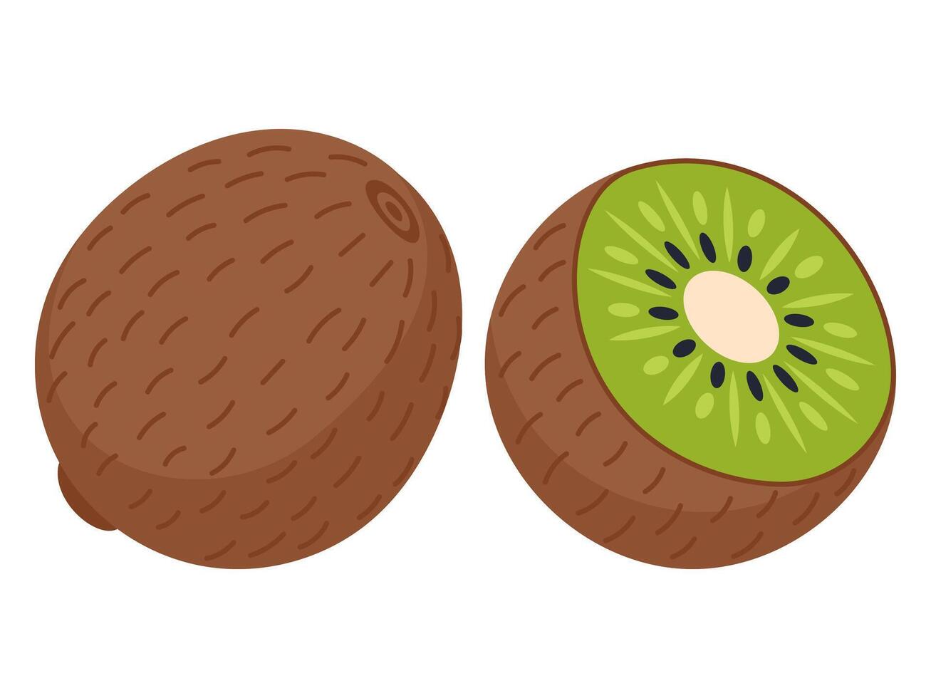 Kiwi isolated on white background. Bright illustration vector