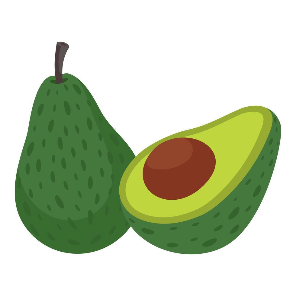 Avocado isolated on white background, illustration vector
