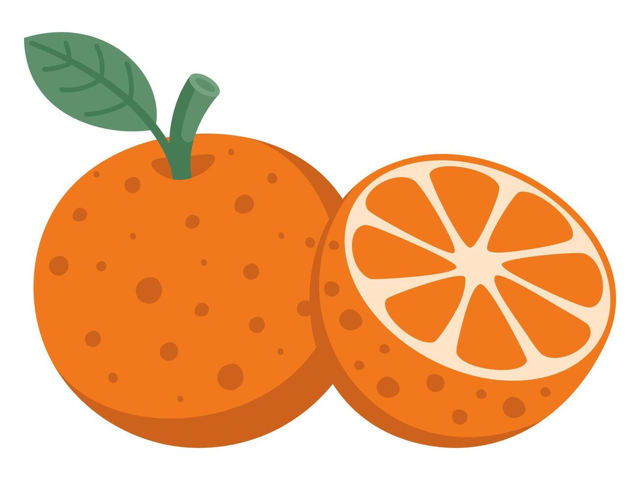 Orange isolated on white background, illustration vector