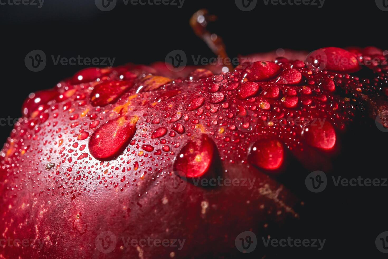 Closeup of a red apple with water drops photo