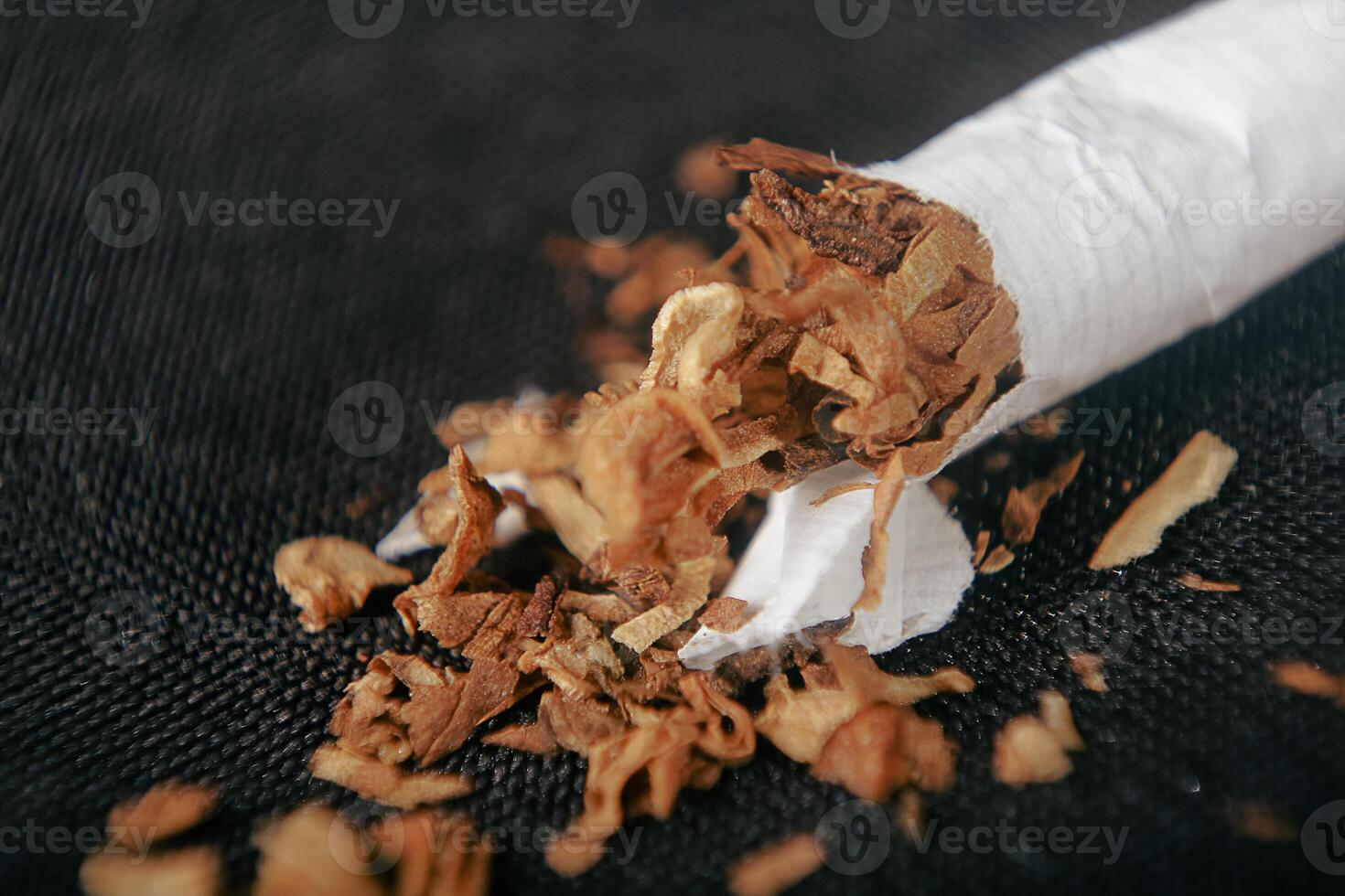 Macro photography of a disassembled cigarette photo
