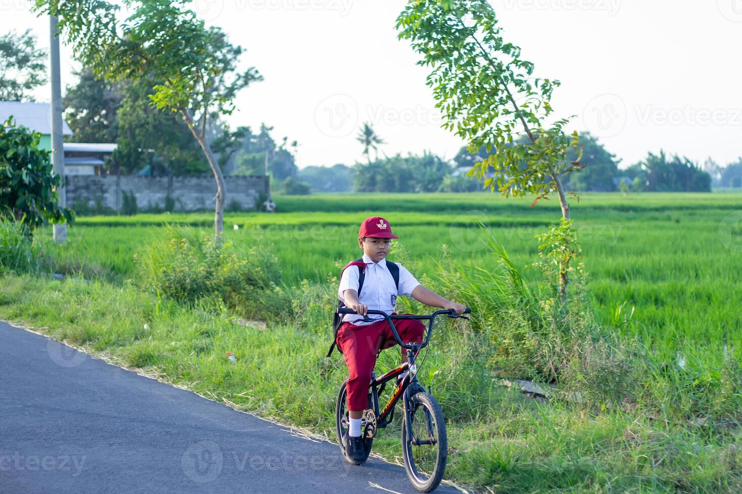 School children cycling in uniform along the edge of the paddy fields photo