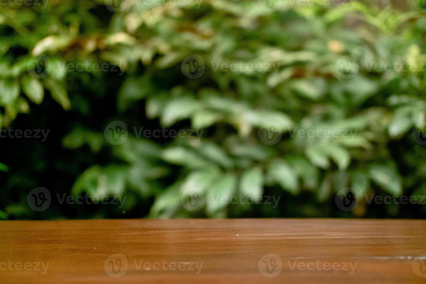 Selective Focus and Blur on Wooden Table with Green Leaves as Commercial Background photo