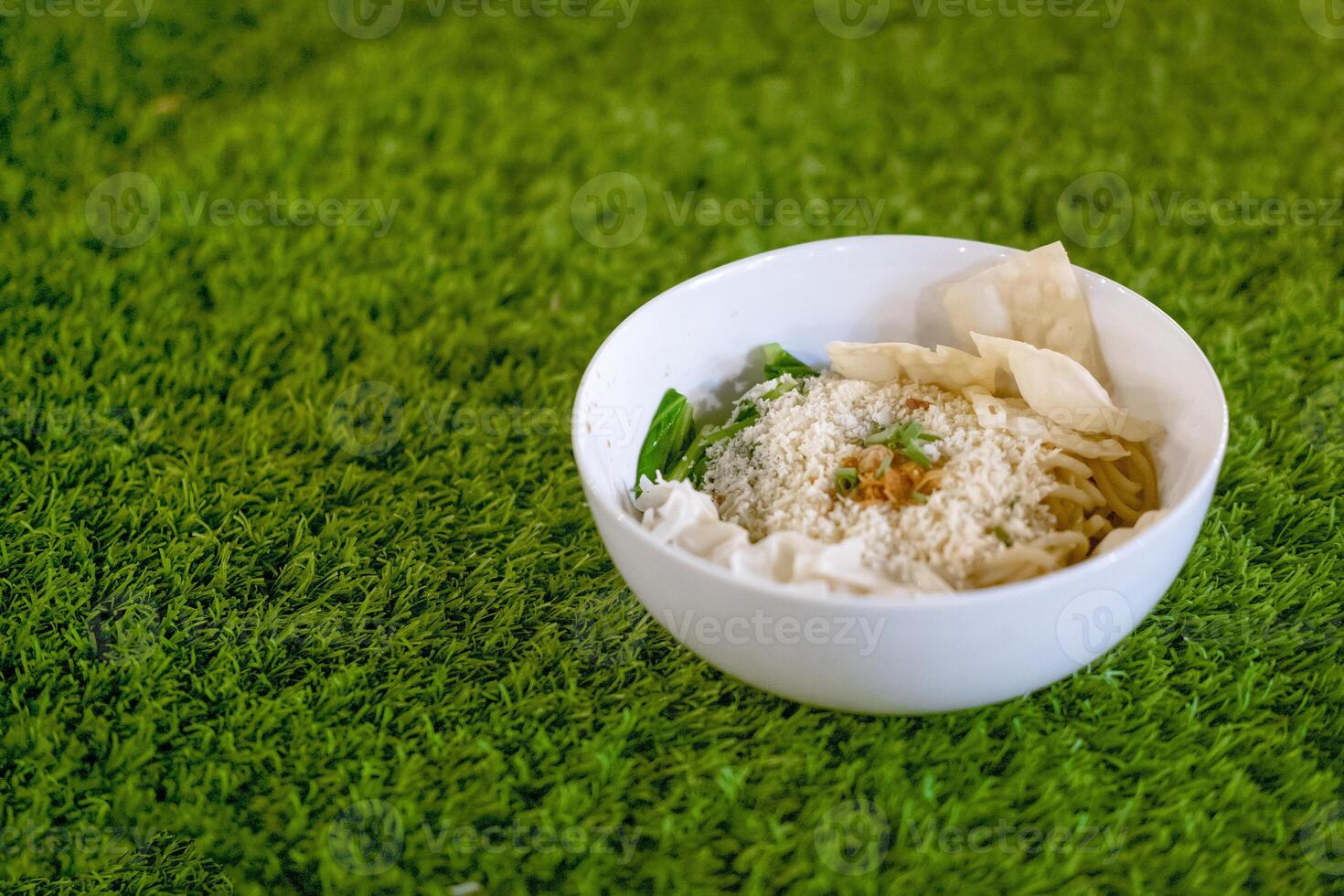 A Bowl of Stir Fried Noodles on Grass photo