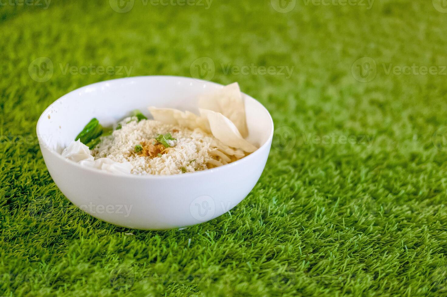 A Bowl of Stir Fried Noodles on Grass photo