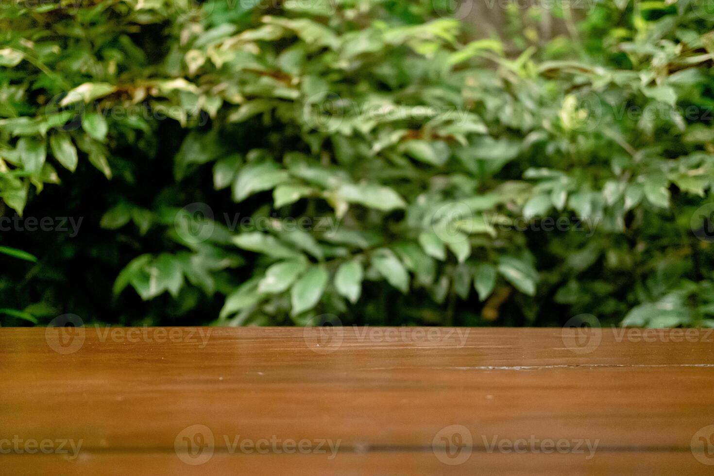 Selective Focus and Blur on Wooden Table with Green Leaves as Commercial Background photo