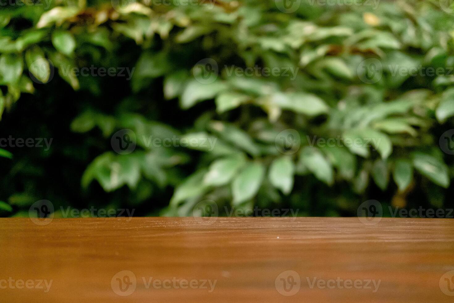 Selective Focus and Blur on Wooden Table with Green Leaves as Commercial Background photo