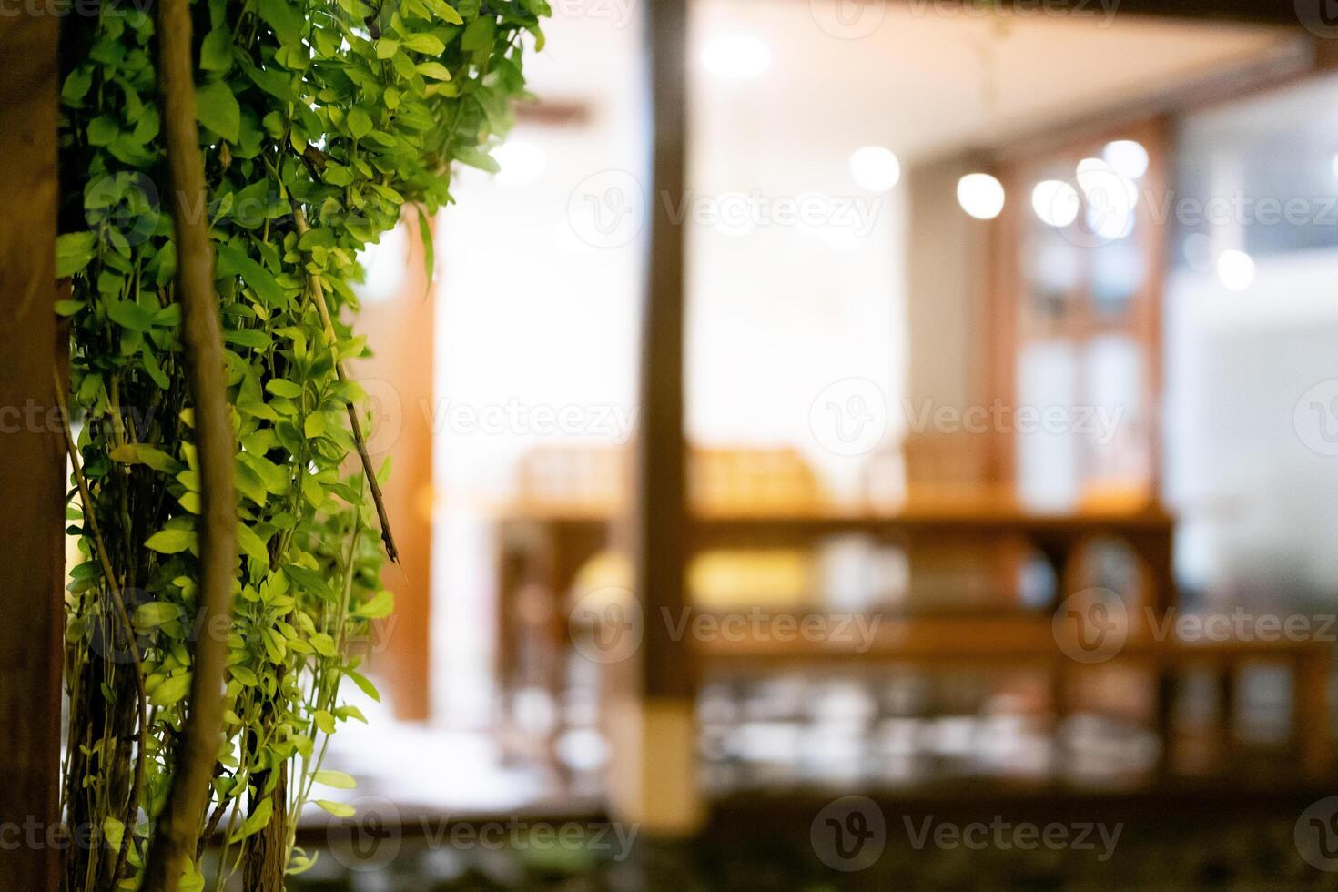 Selective Focus and blur on Climbing Plants and Wooden Cafe Table Set as Commercial Background photo