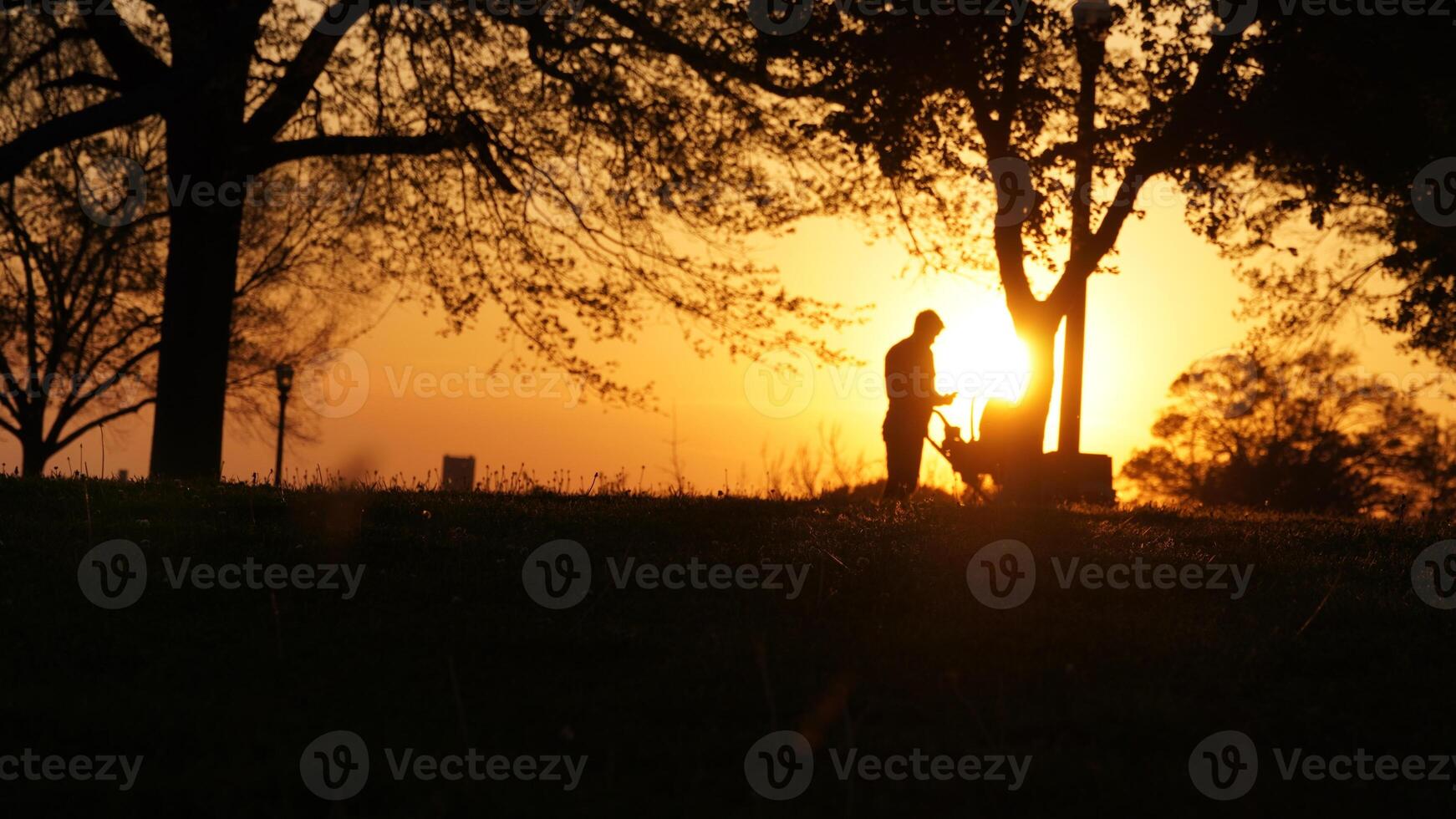 Spring Magical Sunset photo