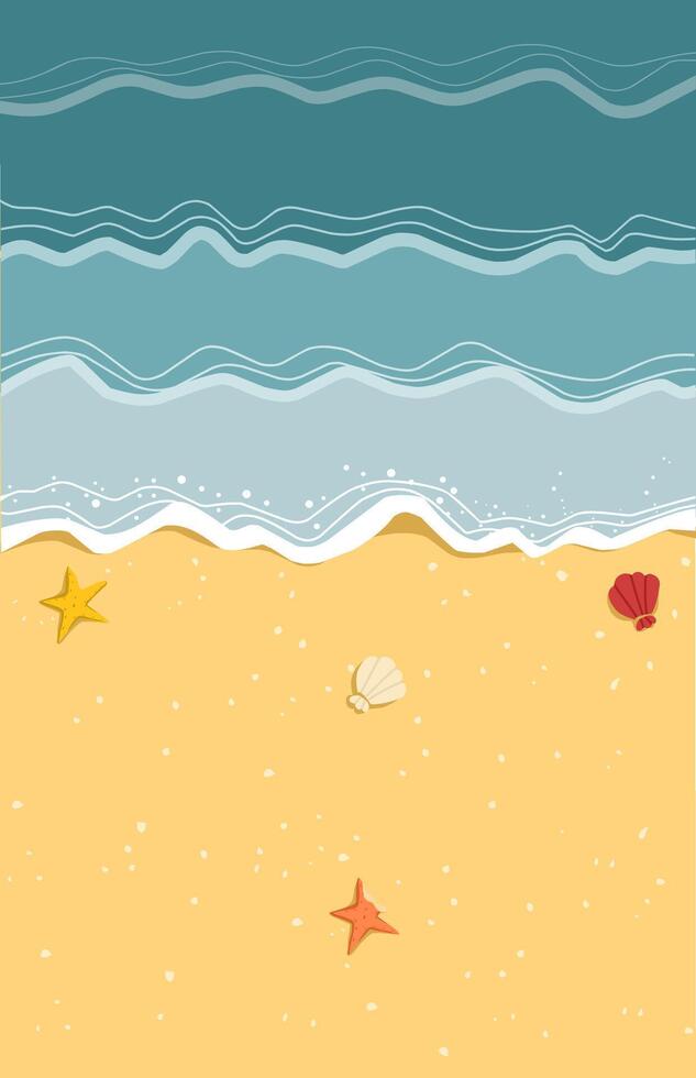 Beach background with sand starfish and shells vector