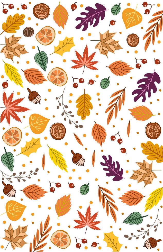wallpaper of various types of dry leaves in autumn on white vector