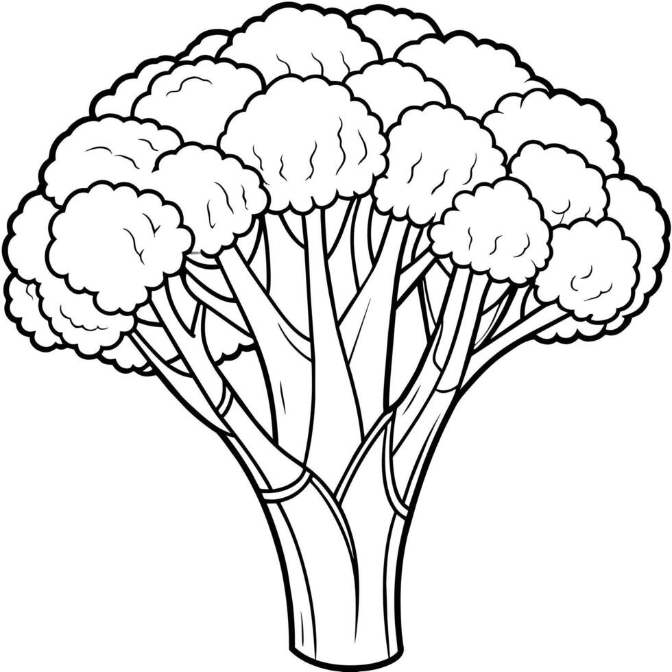 Fresh and Vibrant Broccoli Illustrations Add Green Appeal to Your Designs vector
