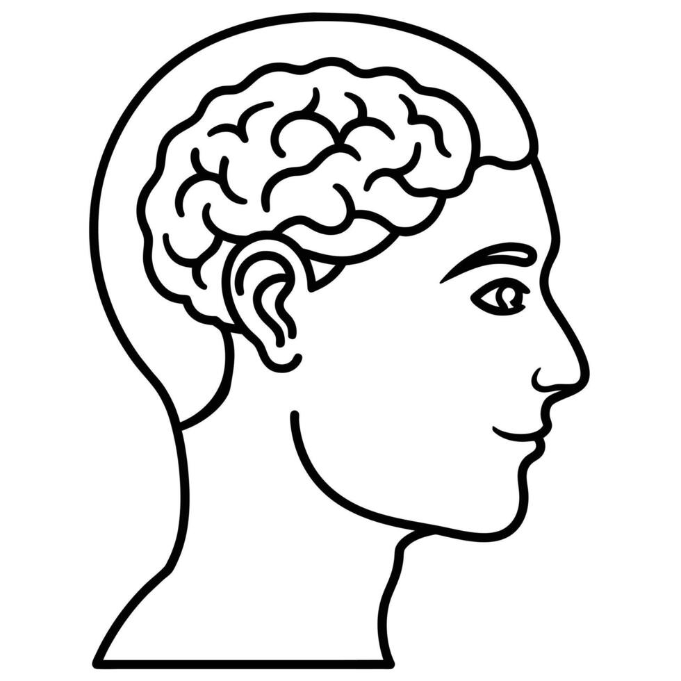 Unlocking Insights Human Head Brain Illustrations vector