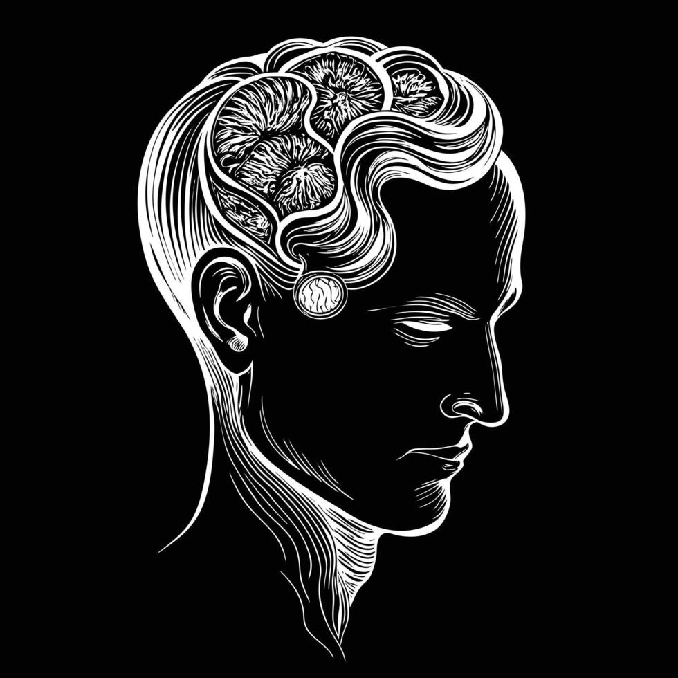 Unlocking Insights Human Head Brain Illustrations vector