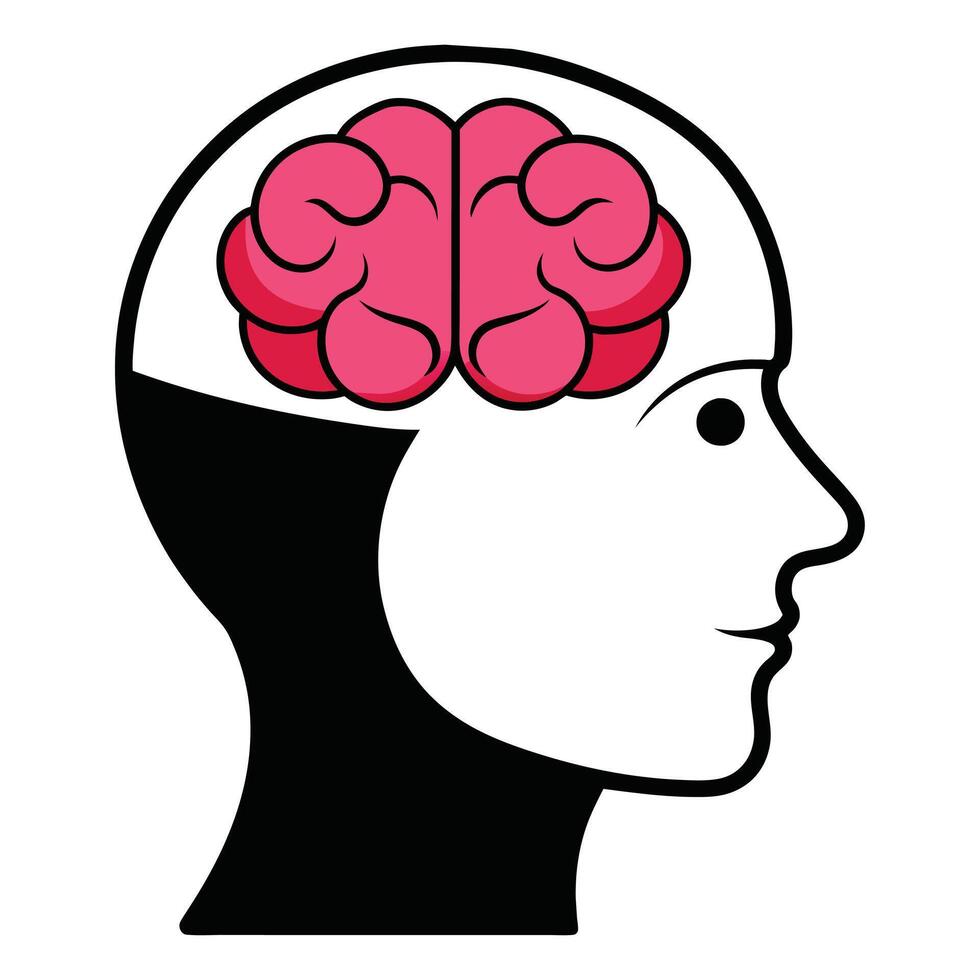 Unlocking Insights Human Head Brain Illustrations vector