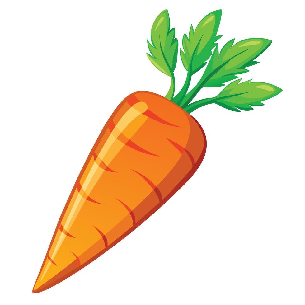 Fresh and Vibrant Carrot Illustrations Elevate Your Designs vector
