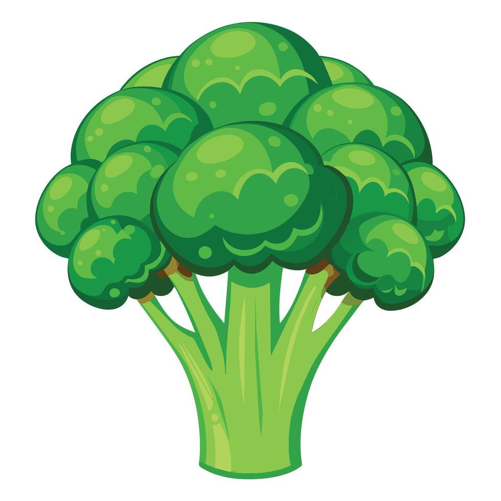 Fresh and Vibrant Broccoli Illustrations Add Green Appeal to Your Designs vector