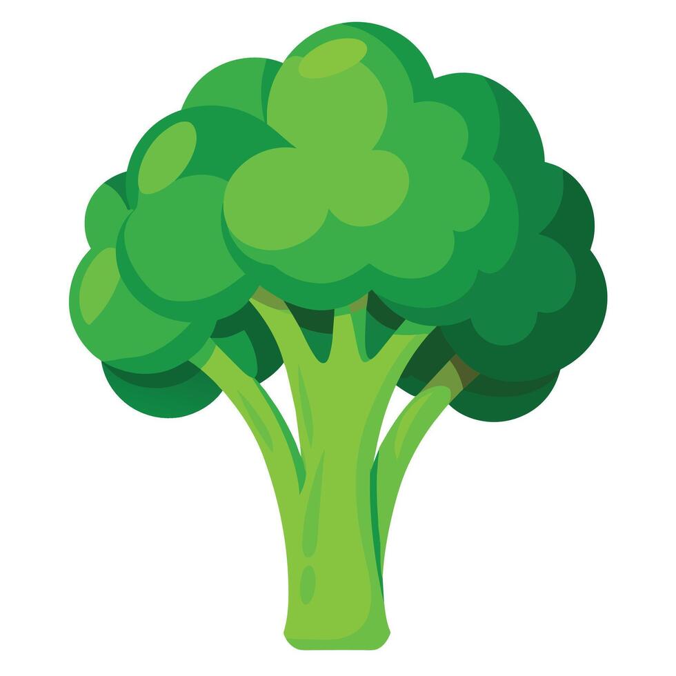Fresh and Vibrant Broccoli Illustrations Add Green Appeal to Your Designs vector