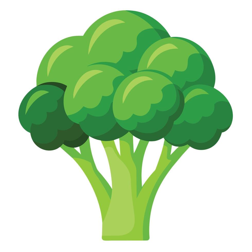 Fresh and Vibrant Broccoli Illustrations Add Green Appeal to Your Designs vector