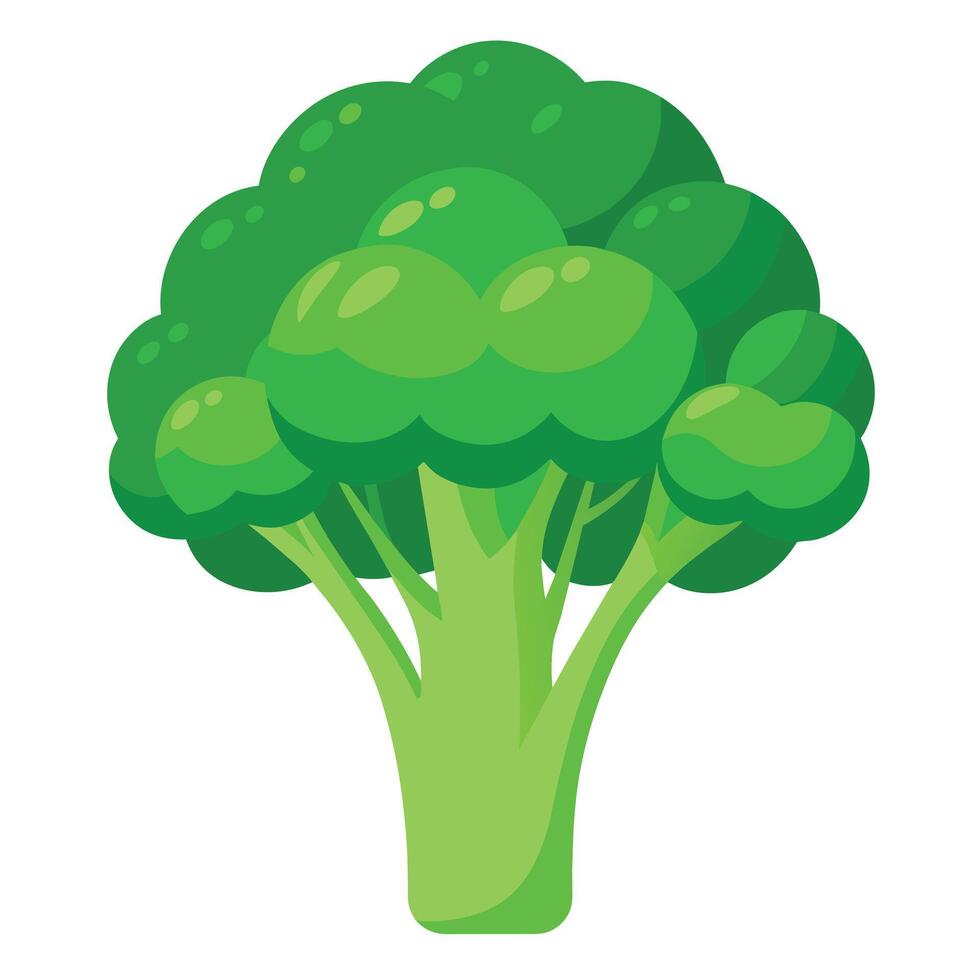 Fresh and Vibrant Broccoli Illustrations Add Green Appeal to Your Designs vector